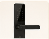 Black smart door lock
